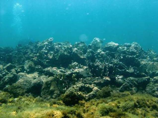 Illustration for article titled Archaeologists may have found the wreck of Columbus' Santa Maria